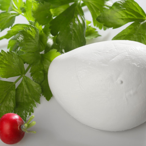 mozzarella_bufalina_2