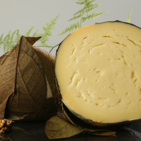 provolone_foglie_noce_2