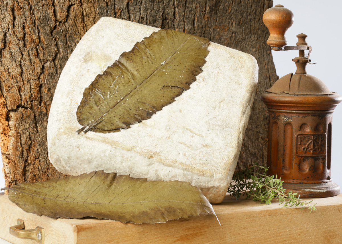 Quadrello di bufala Caseificio Aurora